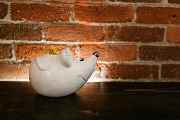 Immobilier à la rochelle : dénichez votre bien idéal